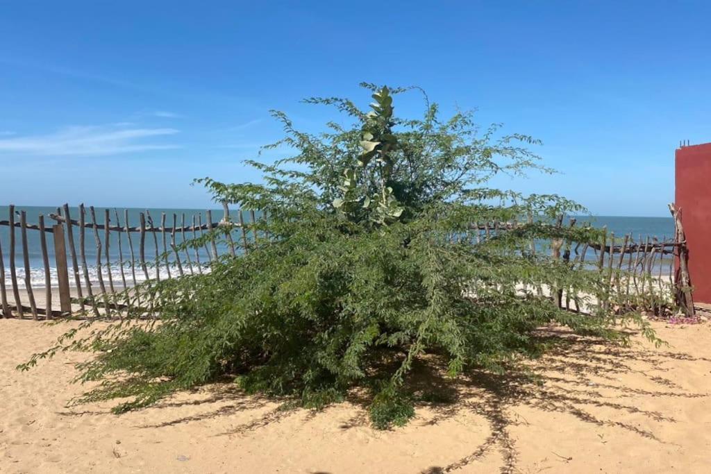 Petite Maison En Bord De Mer Palmarin Nguedj Kültér fotó